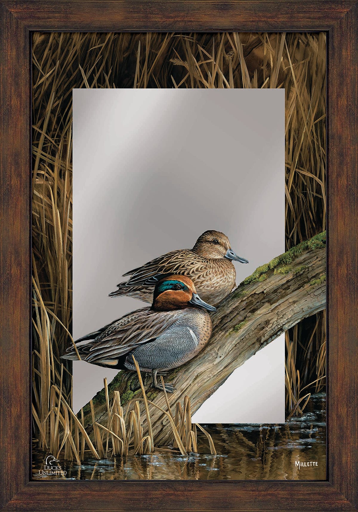 Backwaters - Green Winged Teal 16" x 24" Mirror Framed Barnwood - Official Ducks Unlimited Art