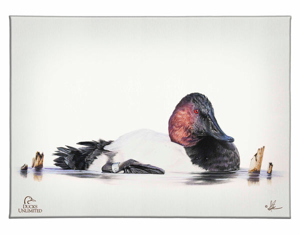 Banded Gallery Wrapped Canvas - Official Ducks Unlimited Art