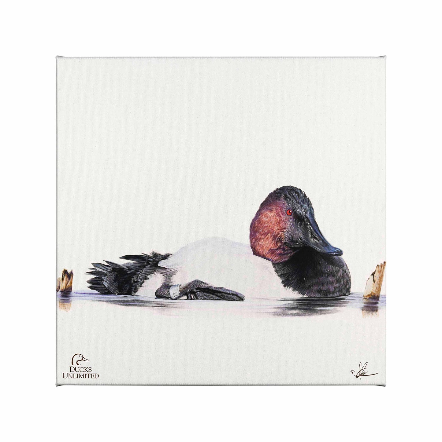 Banded Gallery Wrapped Canvas - Official Ducks Unlimited Art