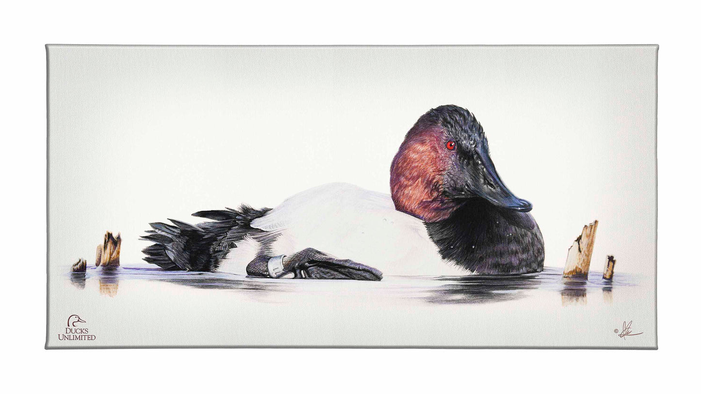 Banded Gallery Wrapped Canvas - Official Ducks Unlimited Art
