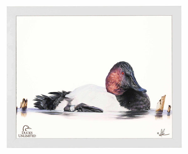 Banded Art Prints - Official Ducks Unlimited Art