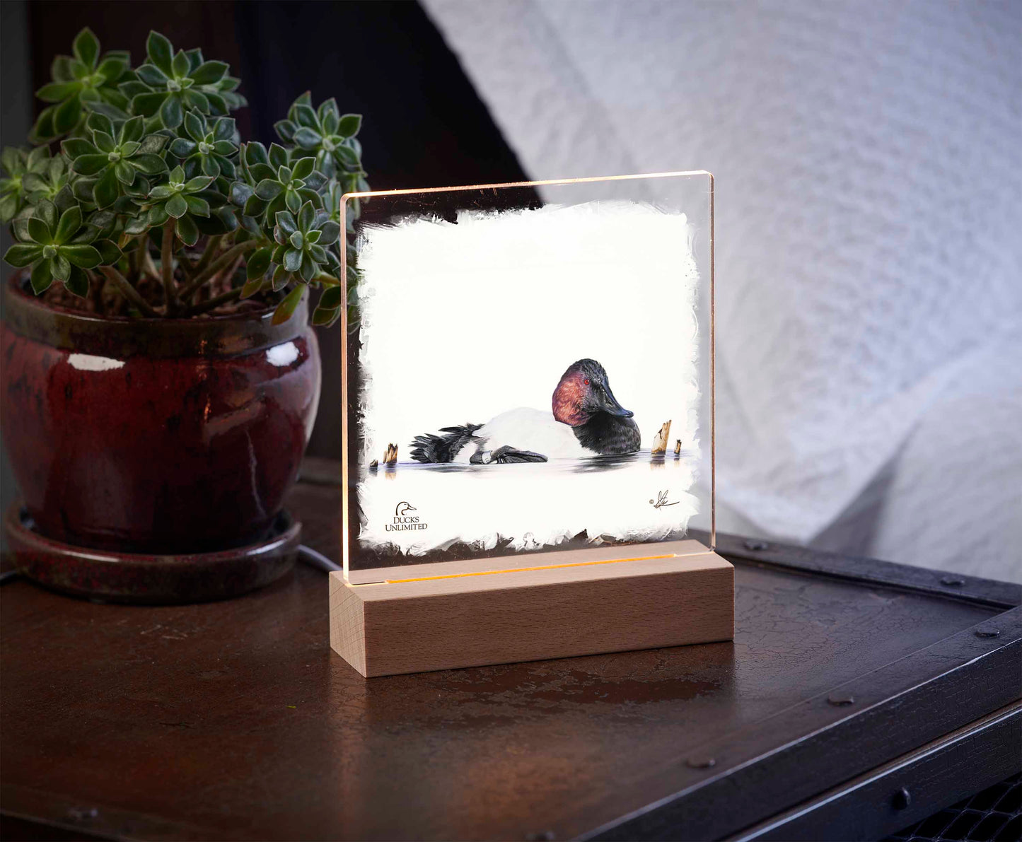 Banded 6.37" x 6" Acrylic Nightlight - Official Ducks Unlimited Art