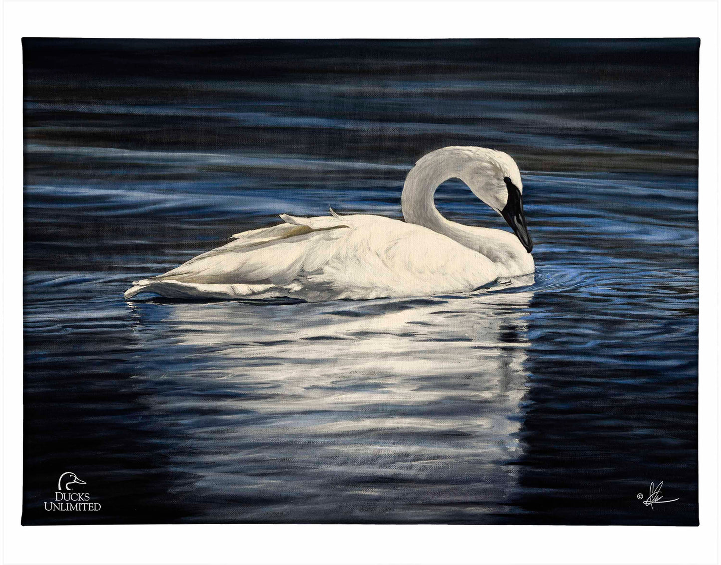 Beautiful Gallery Wrapped Canvas - Official Ducks Unlimited Art