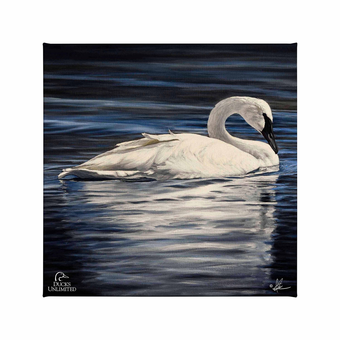 Beautiful Gallery Wrapped Canvas - Official Ducks Unlimited Art