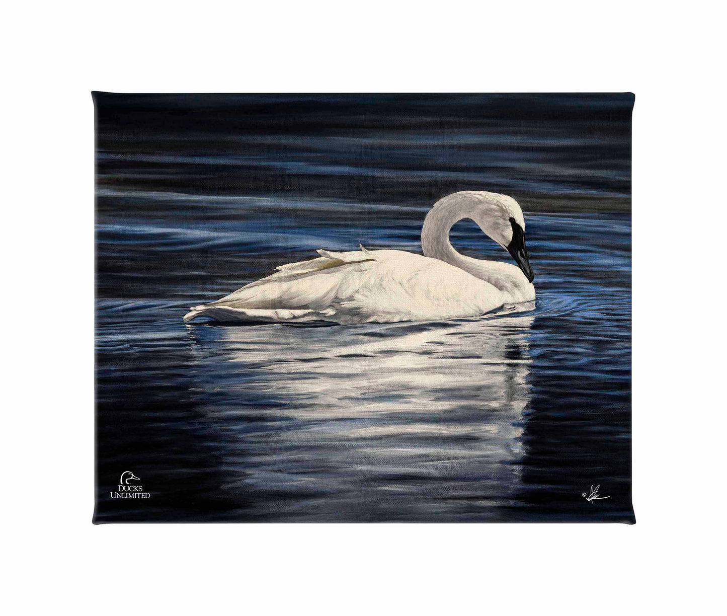 Beautiful Gallery Wrapped Canvas - Official Ducks Unlimited Art