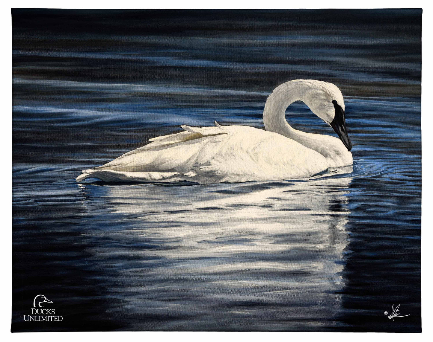 Beautiful Gallery Wrapped Canvas - Official Ducks Unlimited Art
