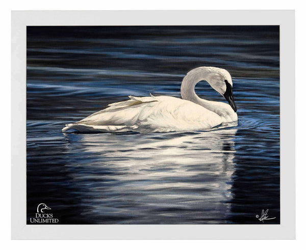 Beautiful Art Prints - Official Ducks Unlimited Art