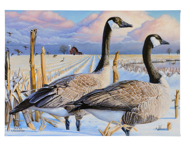 Canada Geese Gallery Wrapped Canvas - Official Ducks Unlimited Art