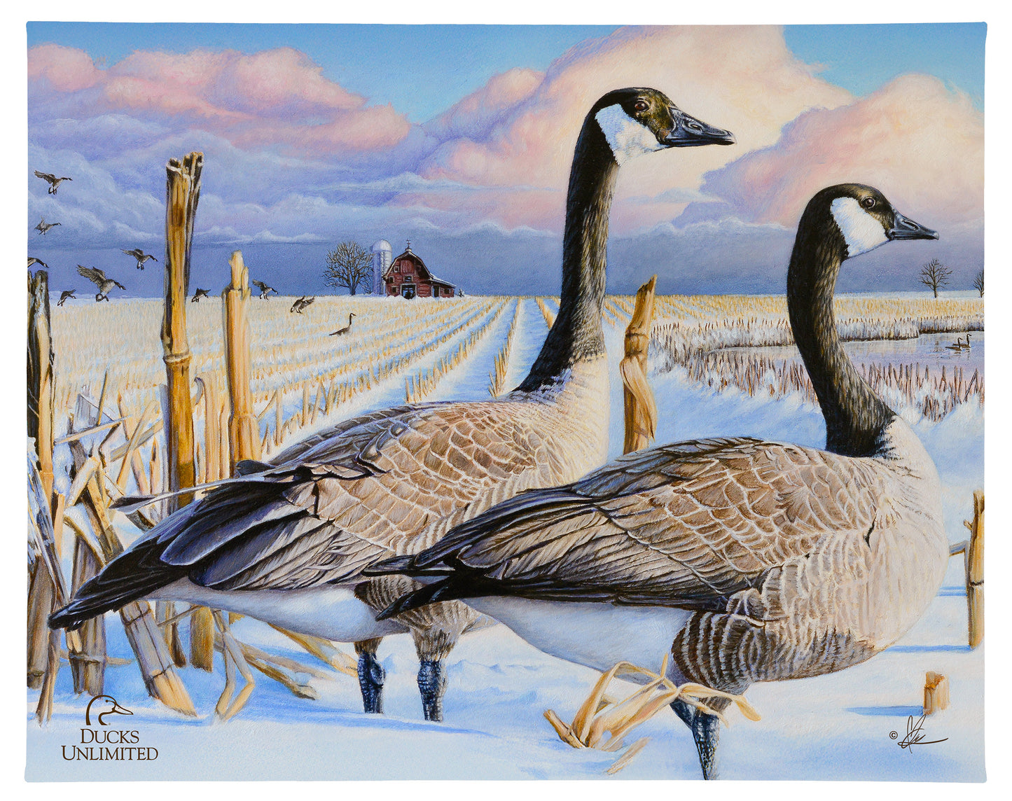 Canada Geese Gallery Wrapped Canvas - Official Ducks Unlimited Art