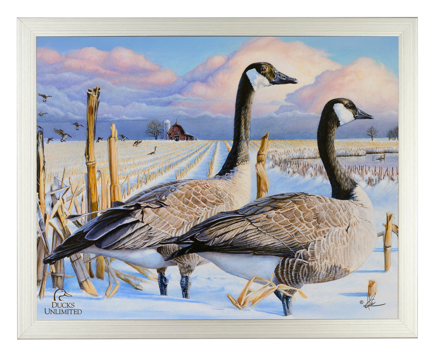 Canada Geese Art Prints - Official Ducks Unlimited Art