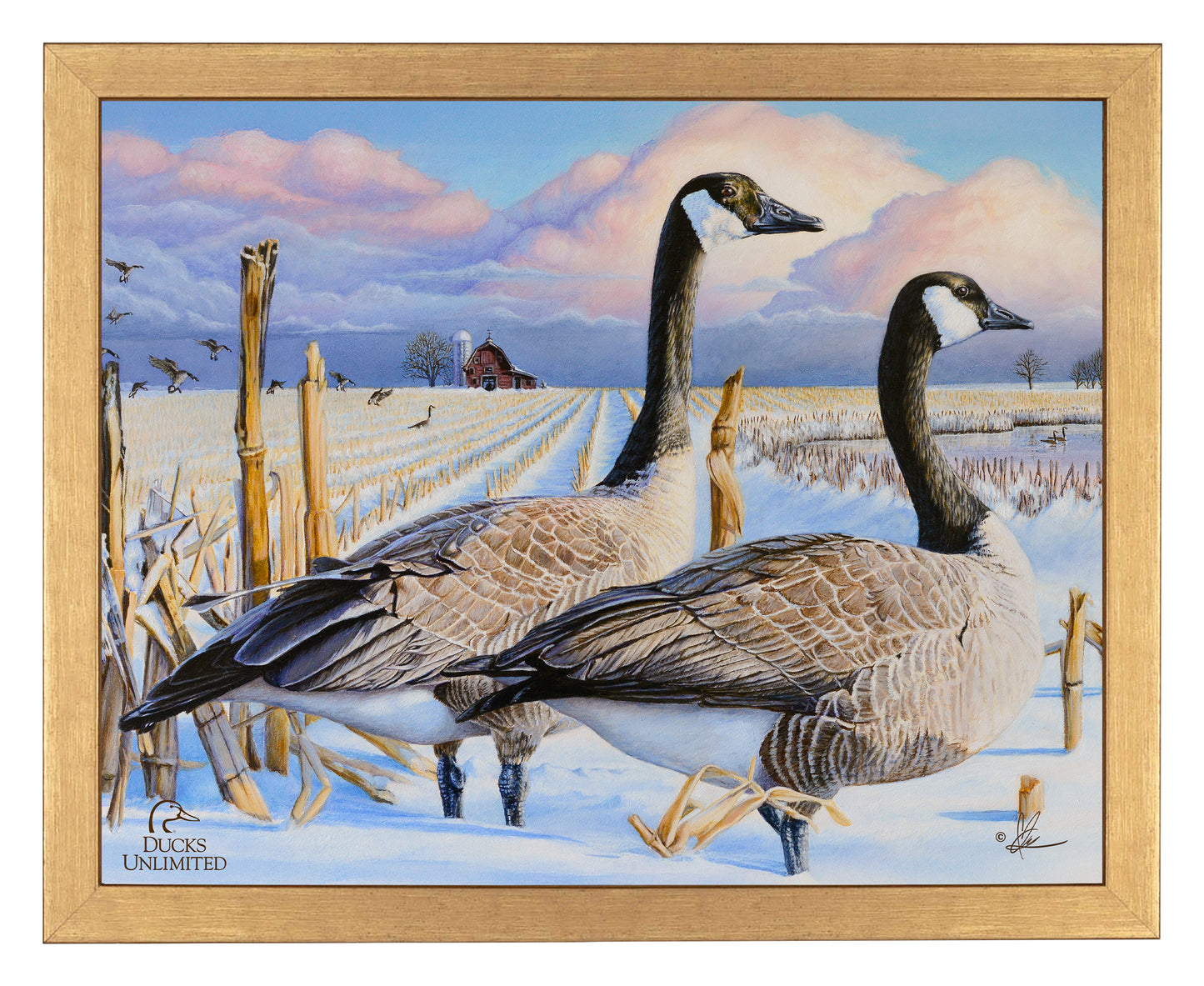 Canada Geese Art Prints - Official Ducks Unlimited Art