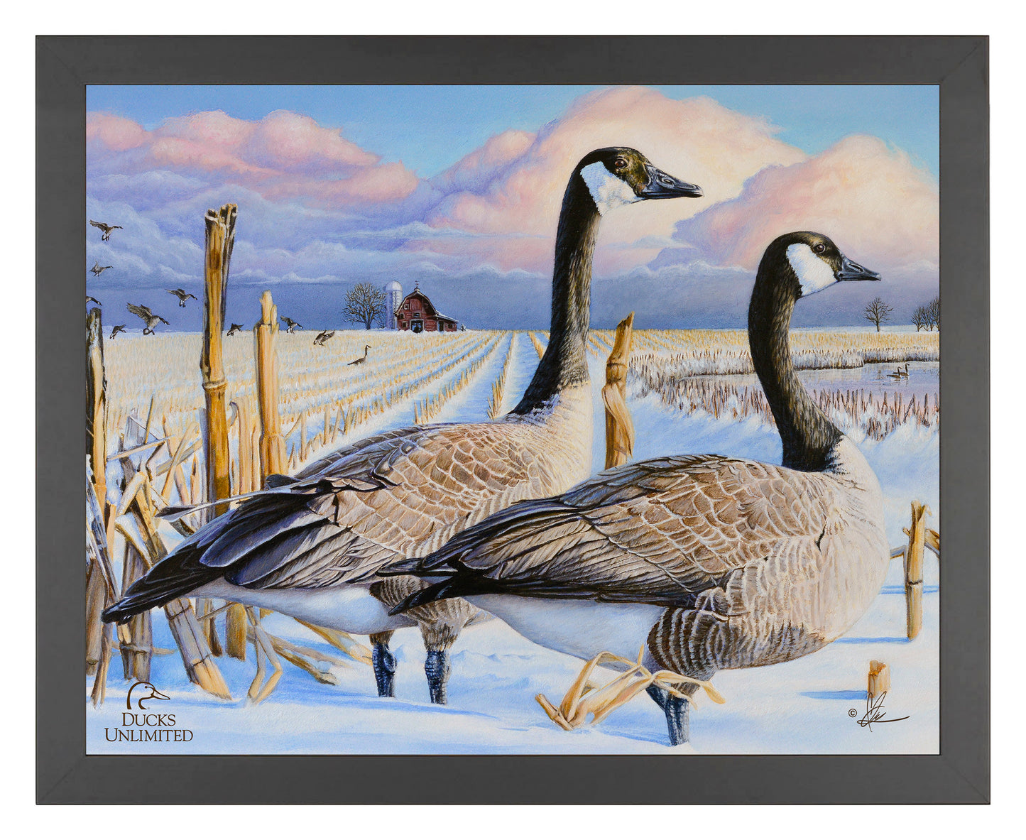 Canada Geese Art Prints - Official Ducks Unlimited Art