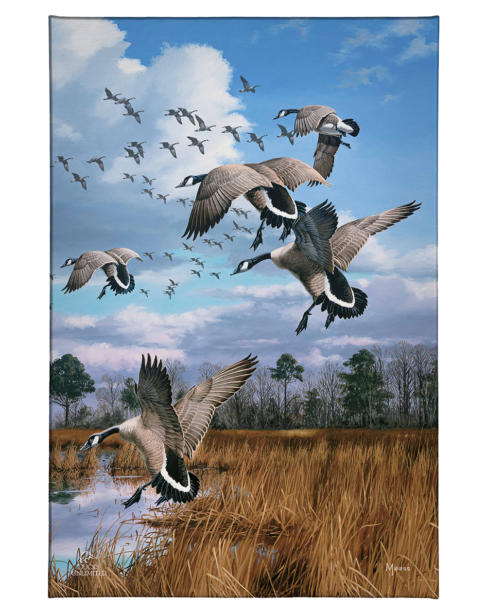 Canada Geese- Atlantic Flyway Gallery Wrapped Canvas - Official Ducks Unlimited Art