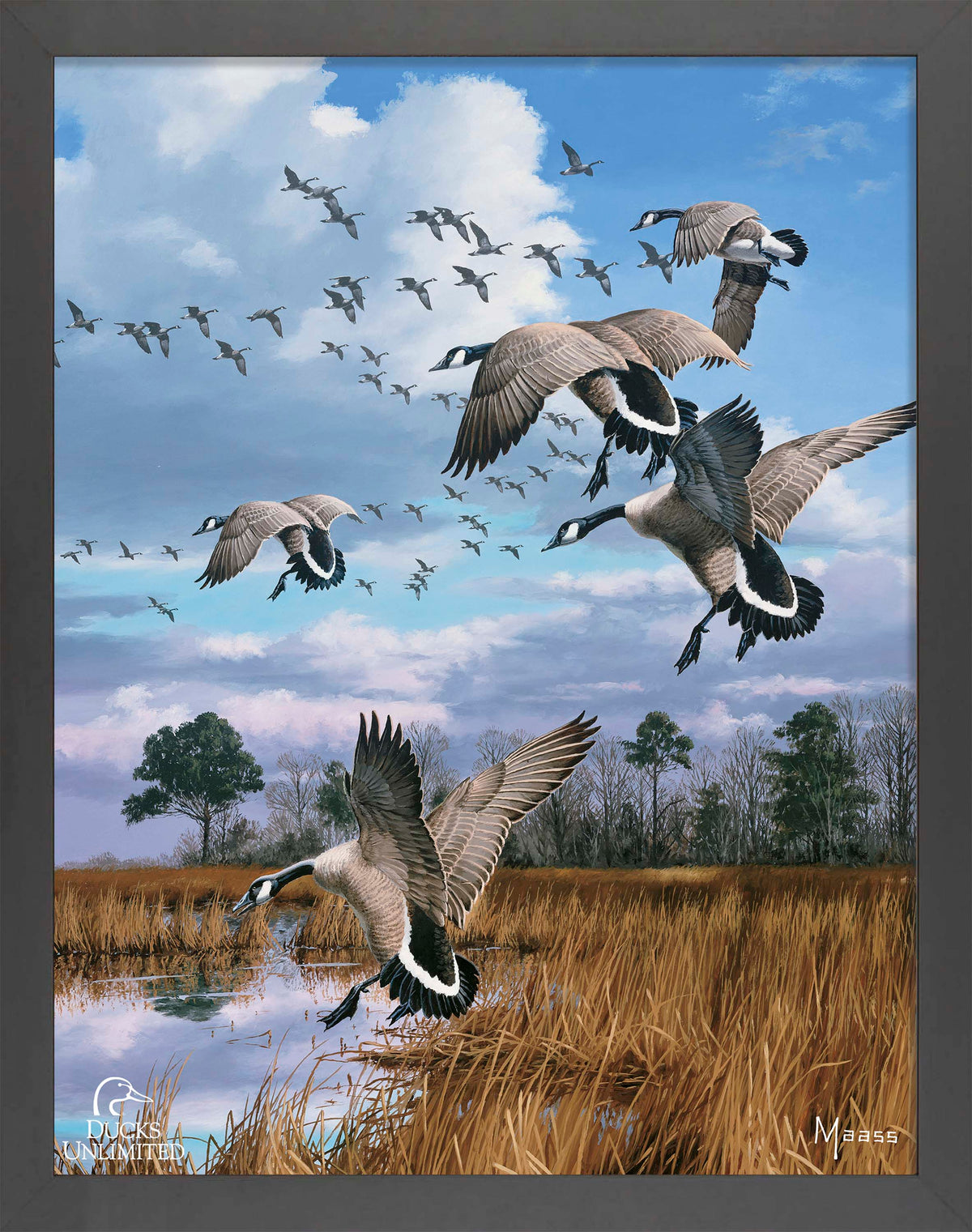 Canada Geese- Atlantic Flyway Art Prints - Official Ducks Unlimited Art