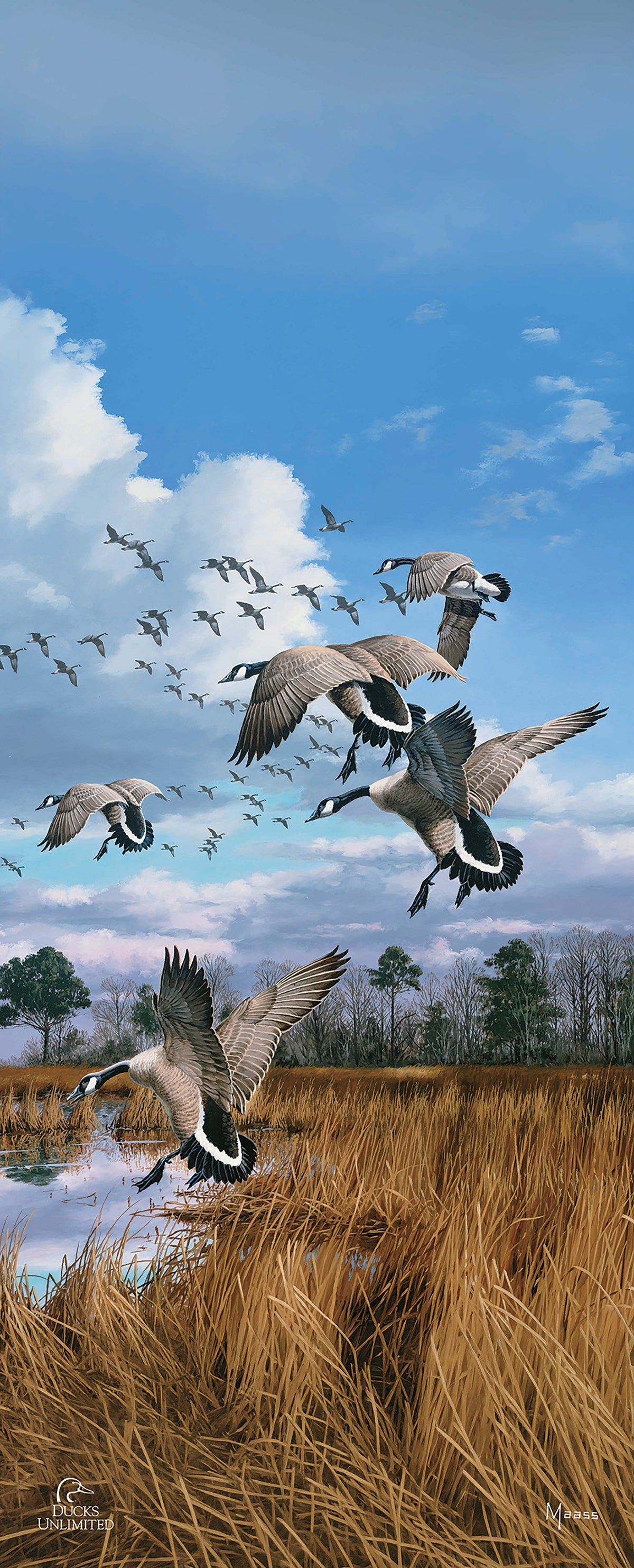 Canada Geese- Atlantic Flyway 12" x 30" Wood Sign - Official Ducks Unlimited Art