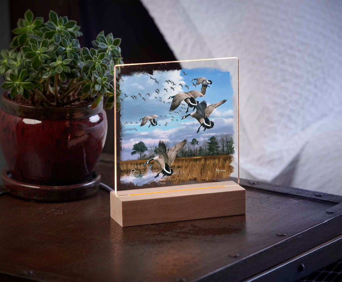 Canada Geese- Atlantic Flyway 6.37" x 6" Acrylic Night Light - Official Ducks Unlimited Art