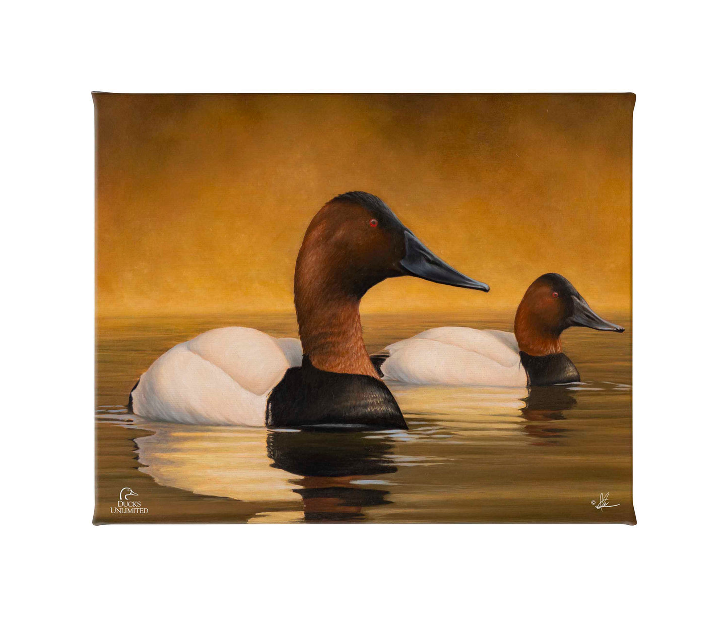 Canvas Back Gallery Wrapped Canvas - Official Ducks Unlimited Art