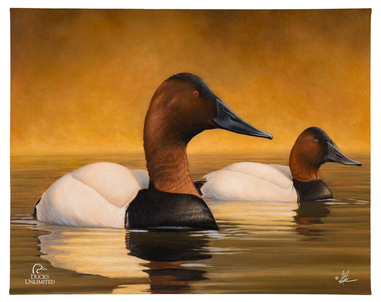 Canvas Back Gallery Wrapped Canvas - Official Ducks Unlimited Art