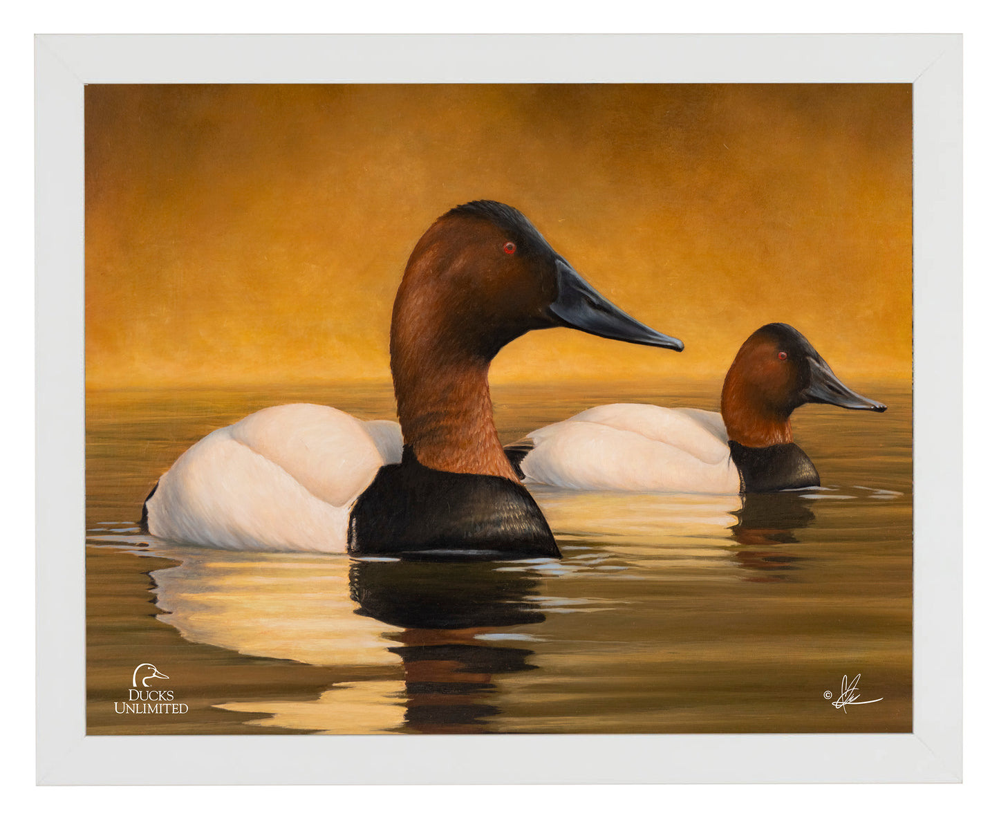 Canvas Back Art Prints - Official Ducks Unlimited Art