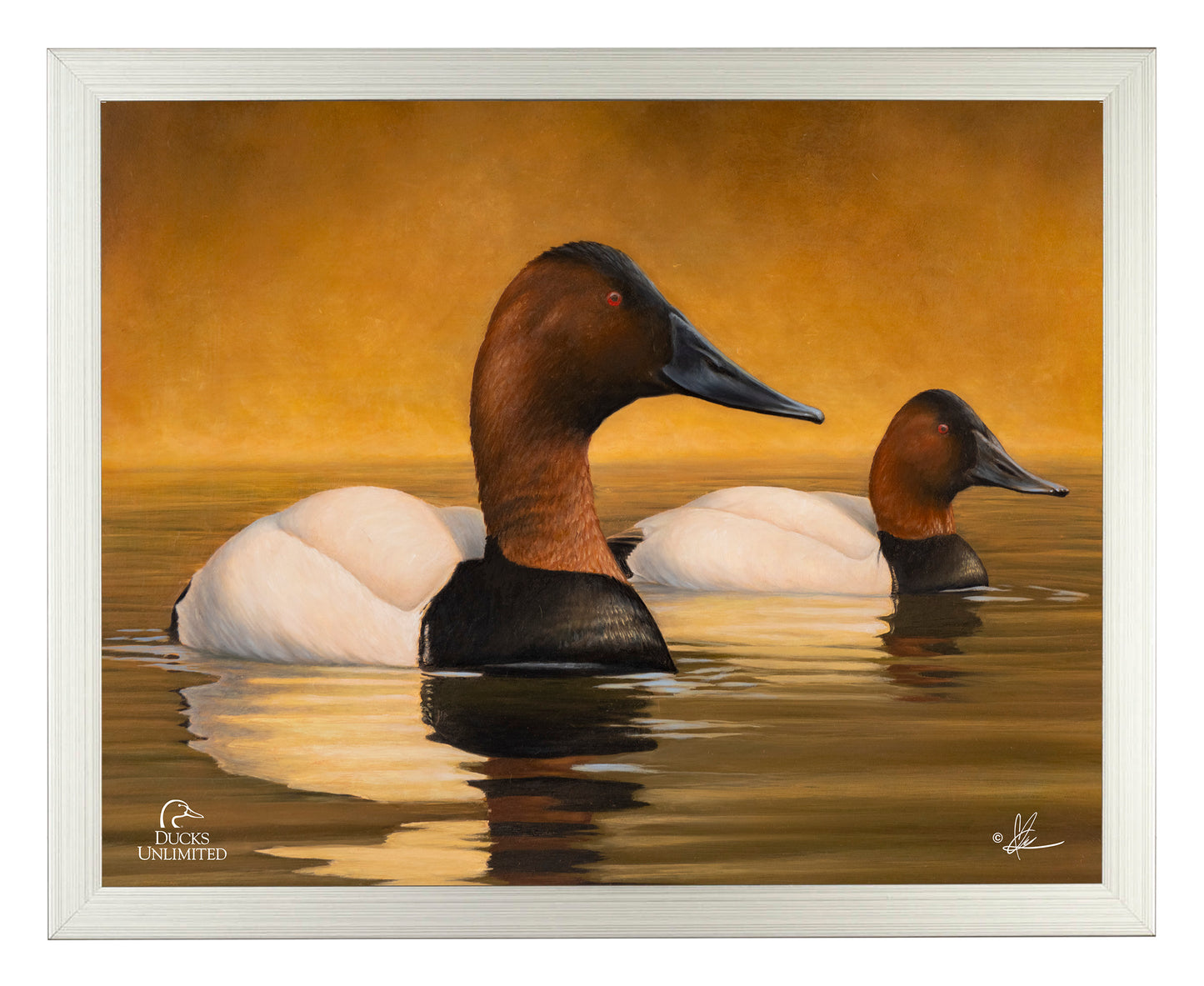 Canvas Back Art Prints - Official Ducks Unlimited Art