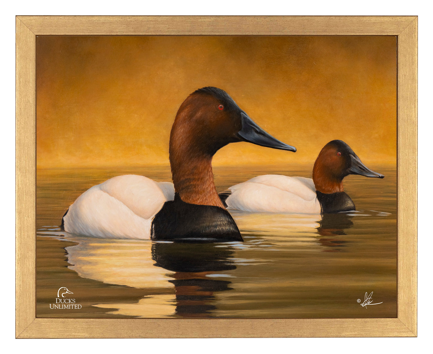 Canvas Back Art Prints - Official Ducks Unlimited Art