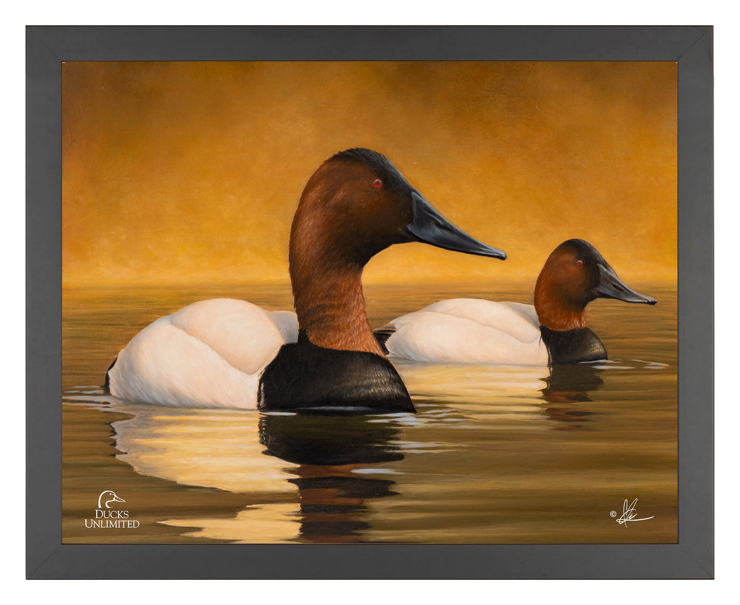 Canvas Back Art Prints - Official Ducks Unlimited Art