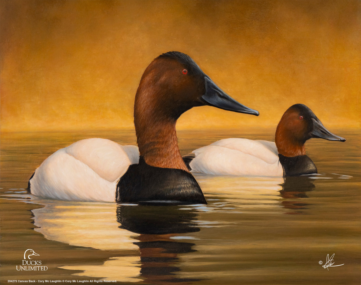 Canvas Back Art Prints - Official Ducks Unlimited Art