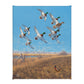 Courtship Flight - Mallard Gallery Wrapped Canvas - Official Ducks Unlimited Art