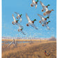 Courtship Flight - Mallard Gallery Wrapped Canvas - Official Ducks Unlimited Art