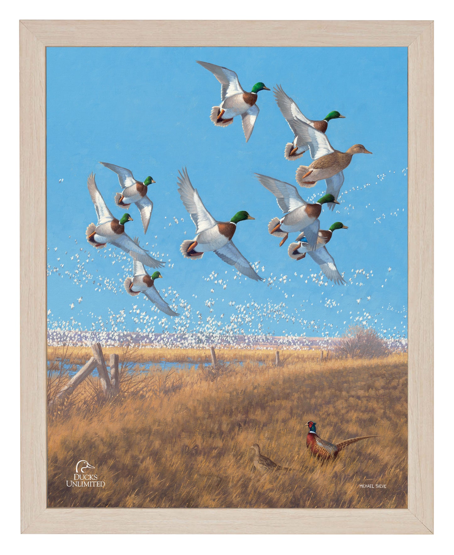Courtship Flight Mallard Art Prints - Official Ducks Unlimited Art