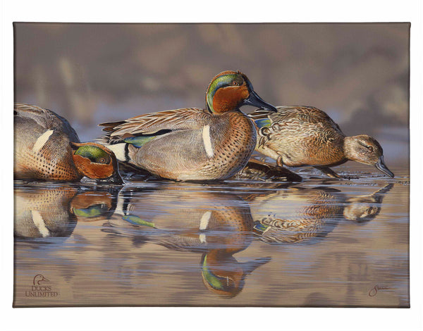 Dabbling Greens Gallery Wrapped Canvas - Official Ducks Unlimited Art