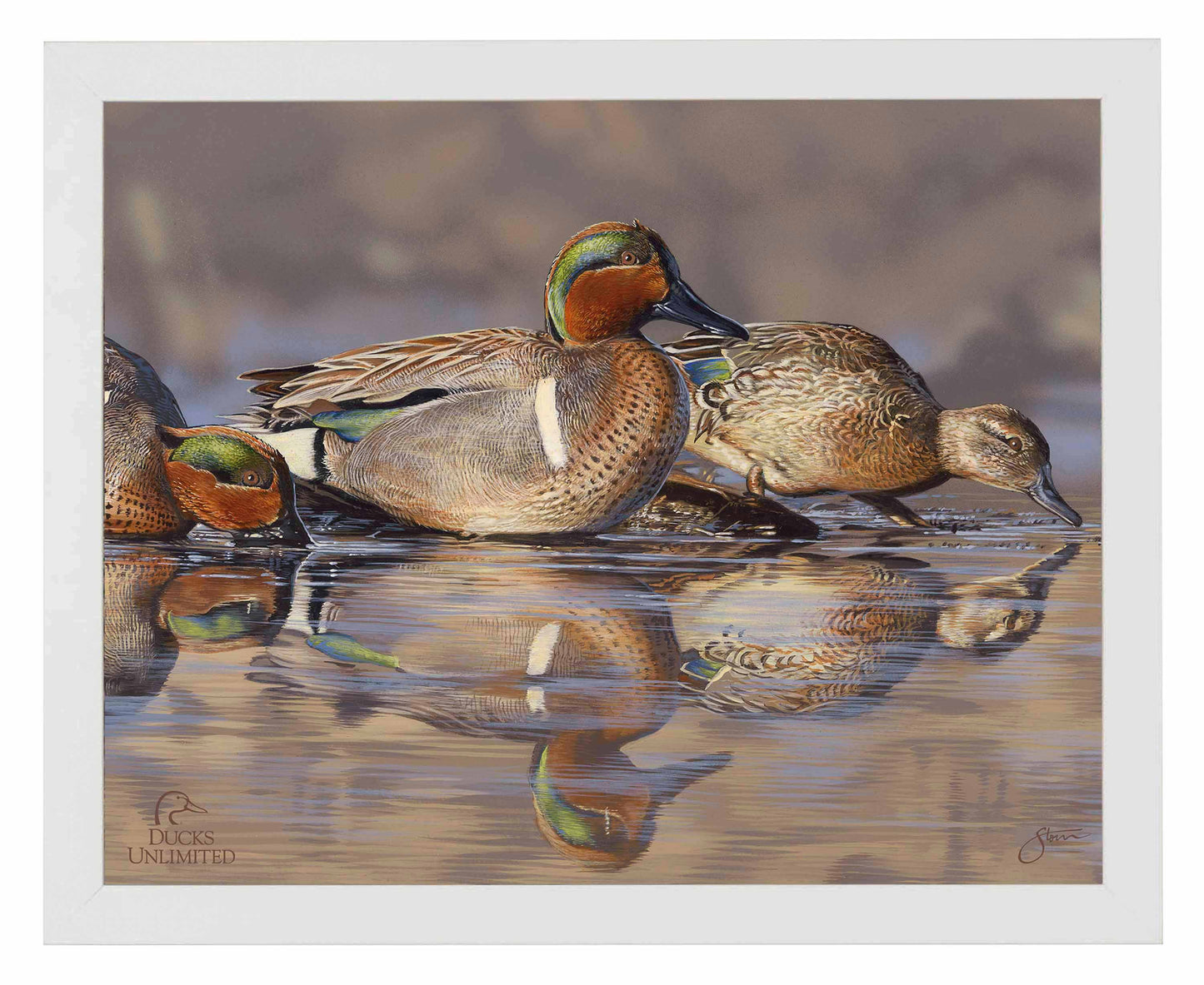 Dabbling Greens Art Prints - Official Ducks Unlimited Art