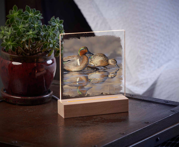 Dabbling Greens 6.37" x 6" Acrylic Nightlight - Official Ducks Unlimited Art