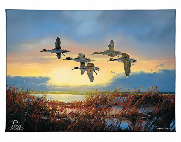 Dawn Patrol - Pintails Gallery Wrapped Canvas - Official Duck Unlimited Art