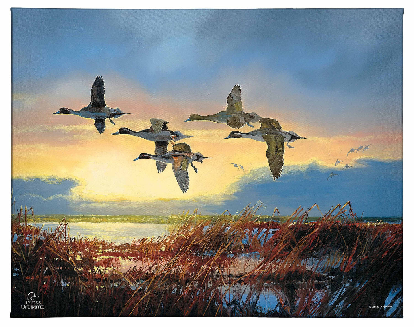 Dawn Patrol - Pintails Gallery Wrapped Canvas - Official Duck Unlimited Art