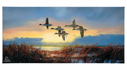 Dawn Patrol - Pintails Gallery Wrapped Canvas - Official Duck Unlimited Art