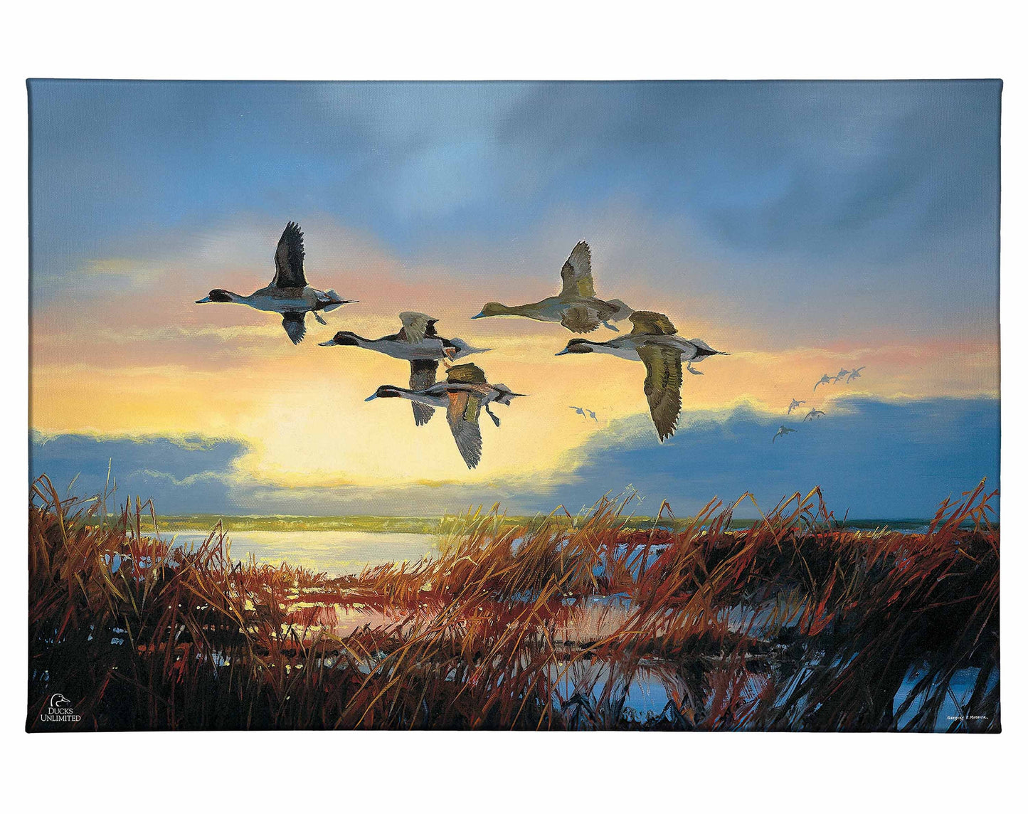 Dawn Patrol - Pintails Gallery Wrapped Canvas - Official Duck Unlimited Art