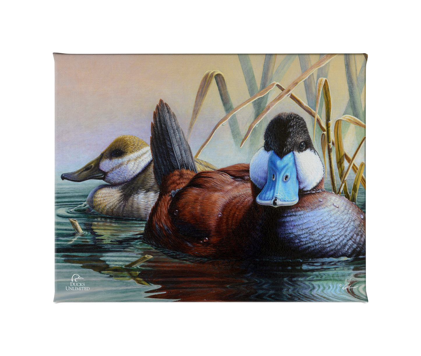 Day spring Gallery Wrapped Canvas - Official Ducks Unlimited Art