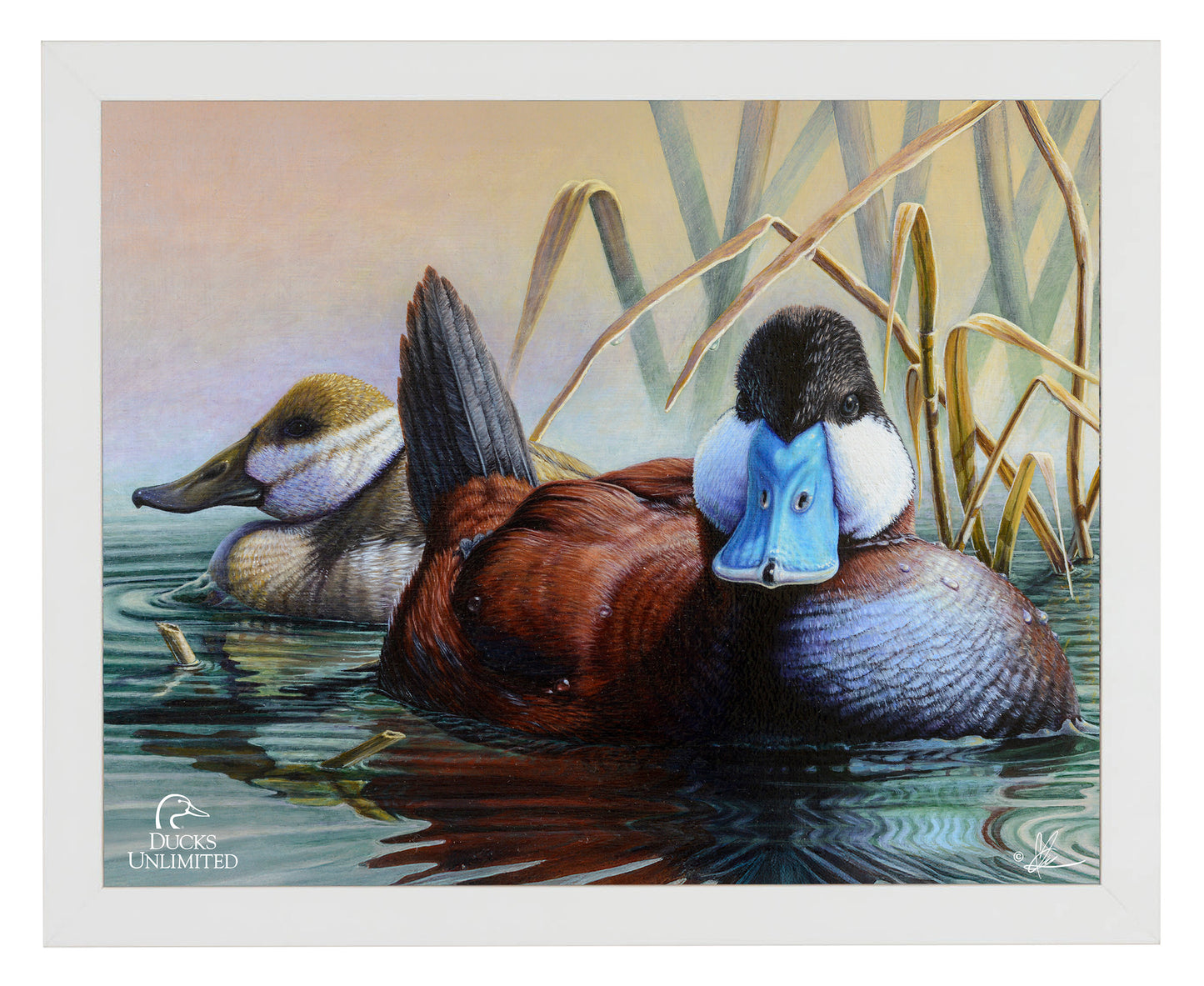Day Spring Art Prints - Official Ducks Unlimited Art