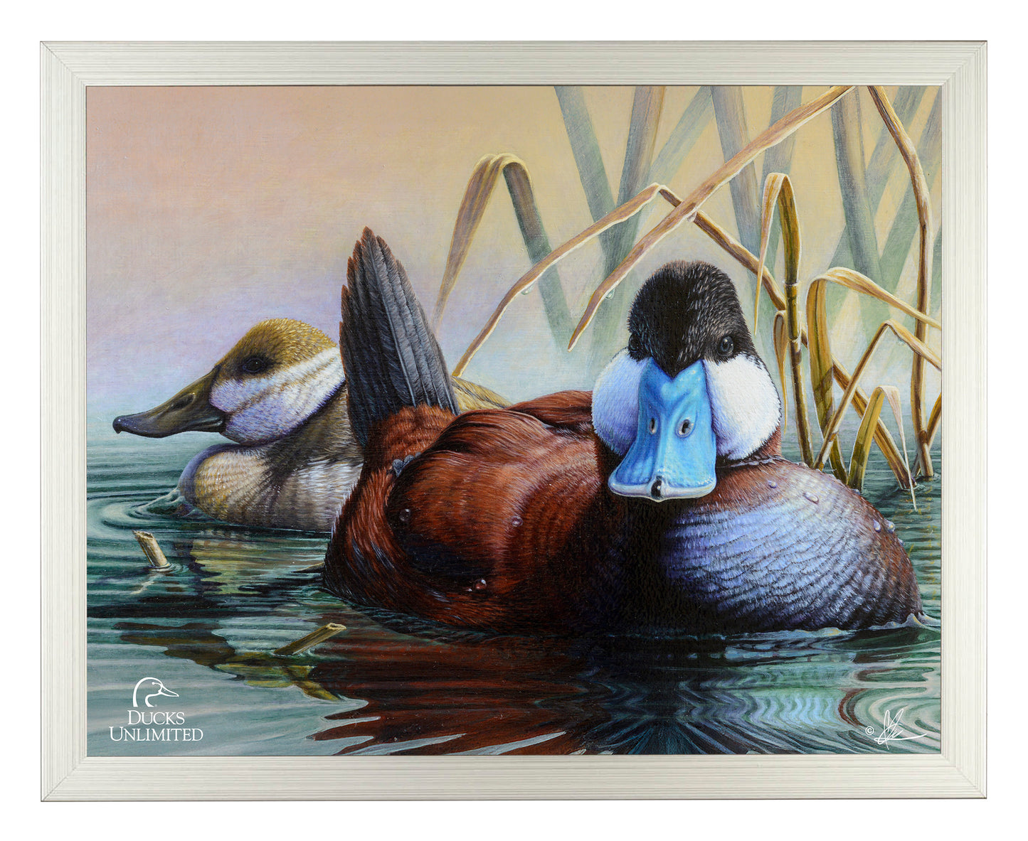 Day Spring Art Prints - Official Ducks Unlimited Art