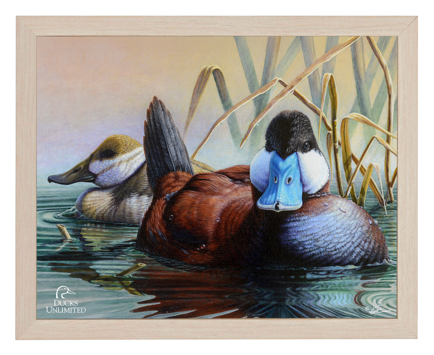Day Spring Art Prints - Official Ducks Unlimited Art