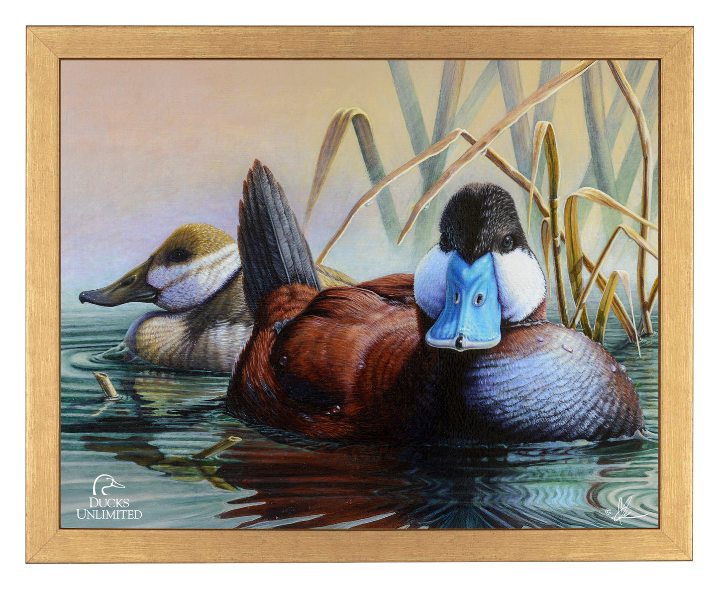 Day Spring Art Prints - Official Ducks Unlimited Art