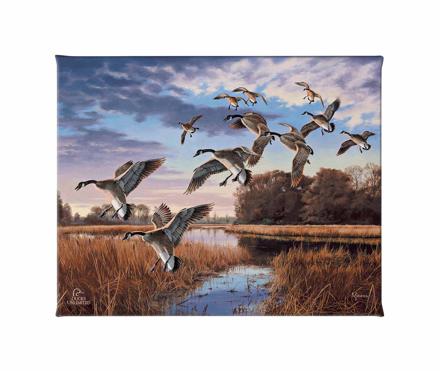 Daybreak Descent - Canada Geese Gallery Wrapped Canvas - Official Ducks Unlimited Art