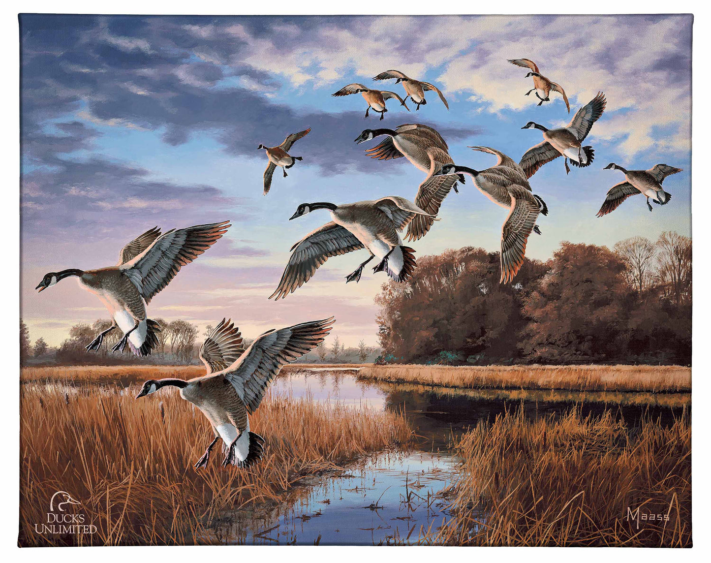 Daybreak Descent - Canada Geese Gallery Wrapped Canvas - Official Ducks Unlimited Art