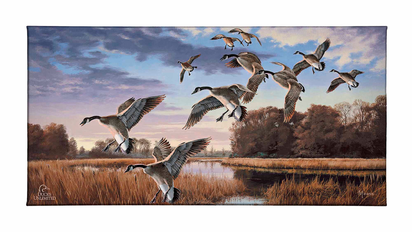 Daybreak Descent - Canada Geese Gallery Wrapped Canvas - Official Ducks Unlimited Art