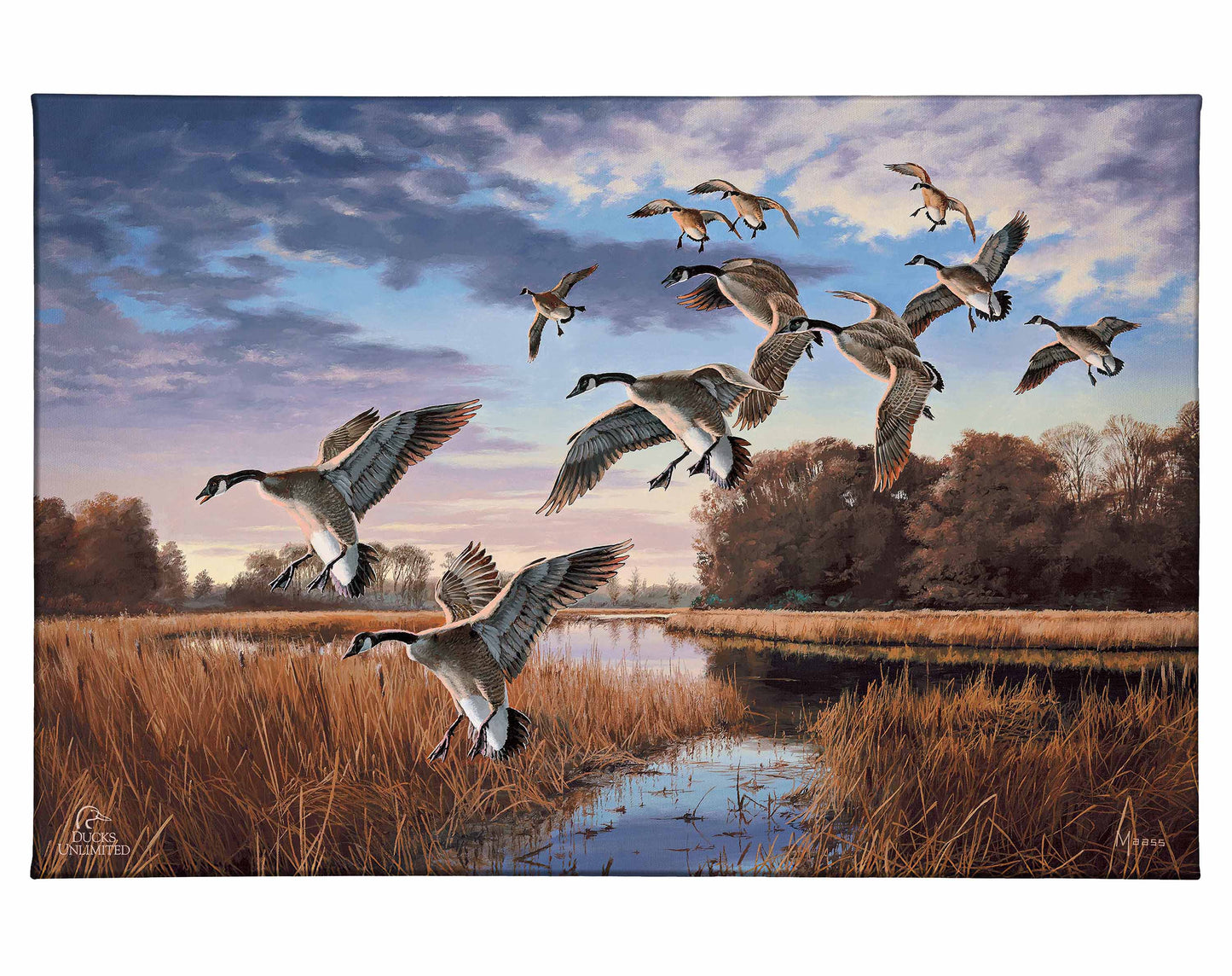 Daybreak Descent - Canada Geese Gallery Wrapped Canvas - Official Ducks Unlimited Art