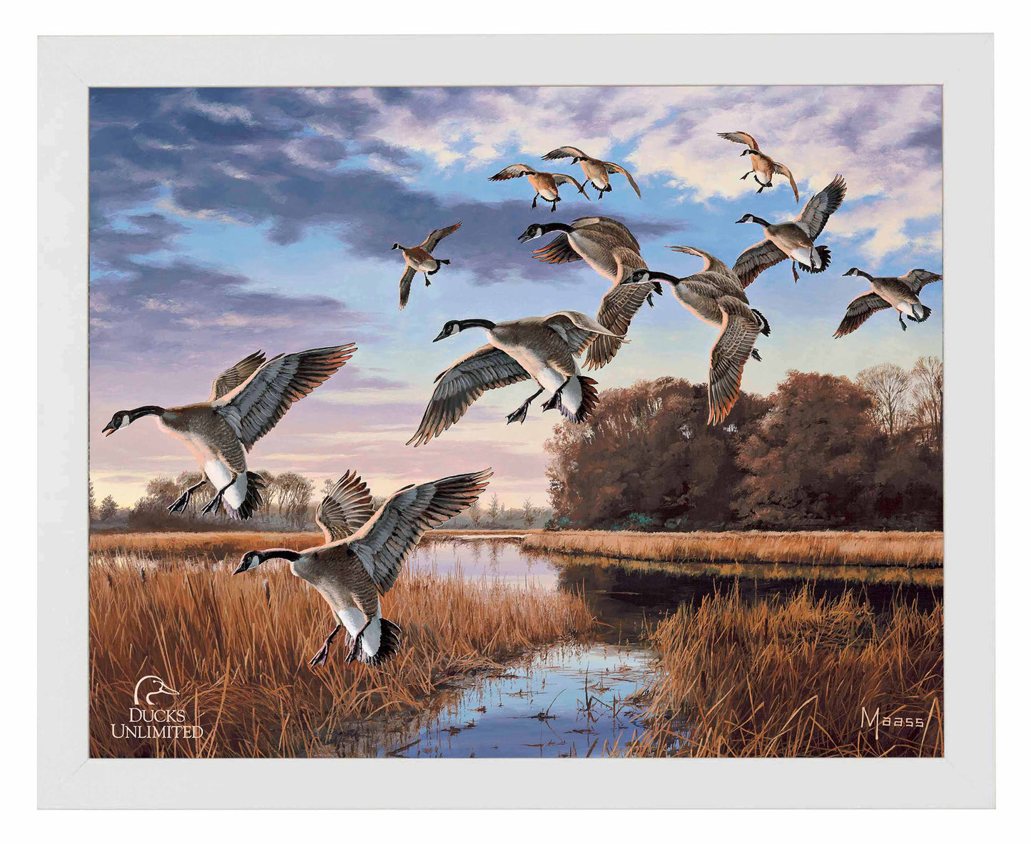 Daybreak Descent Canada Geese Art Prints - Official Ducks Unlimited Art