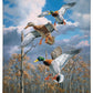 Descending Trio - Mallards Gallery Wrapped Canvas - Official Ducks Unlimited Art