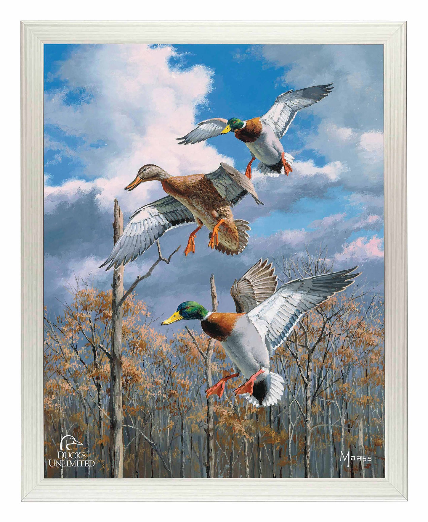 Descending Trio Mallards Art Prints - Official Ducks Unlimited Art
