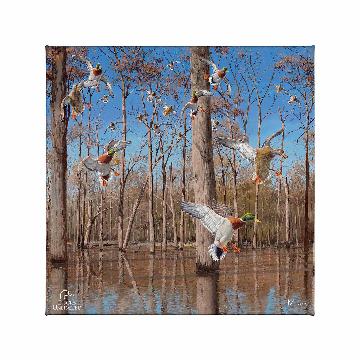 Down from the North - Mallards Gallery Wrapped Canvas - Official Ducks Unlimited Art